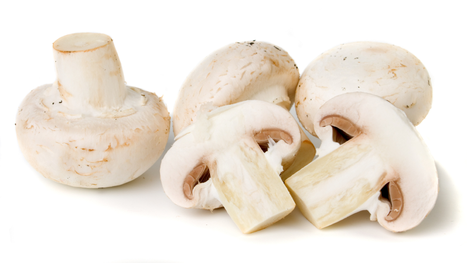 Le champignon, allié minceur – Mini Mag