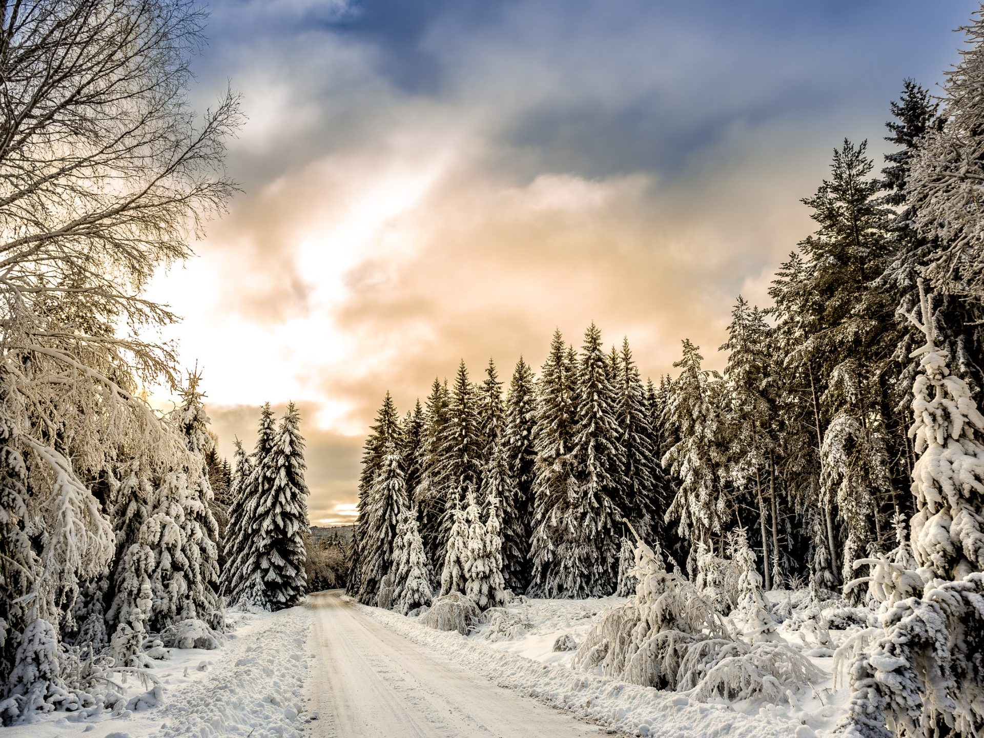 Comment faire le plein d’énergie pour bien passer l’hiver ?