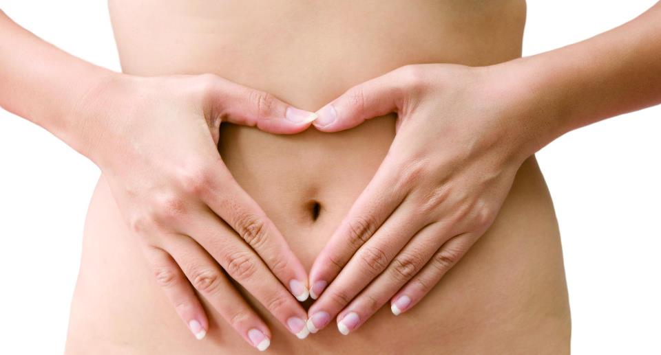 La santé de votre intestin – Mini Mag
