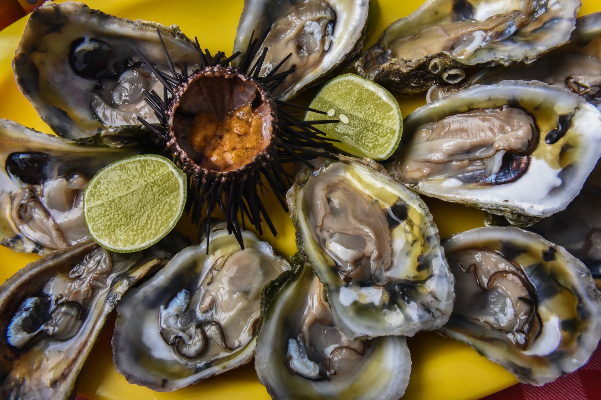Tout savoir sur les apports nutritionnels des crustacés